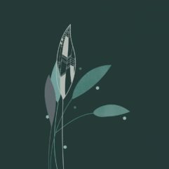 grafisk design och kommunikation